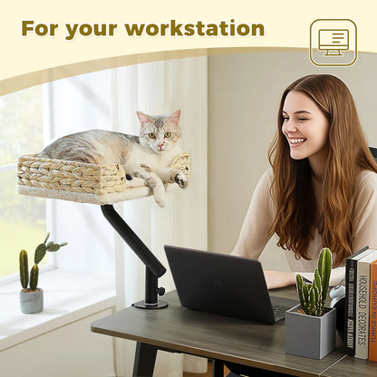 360° Rotatable Cat Desk Bed