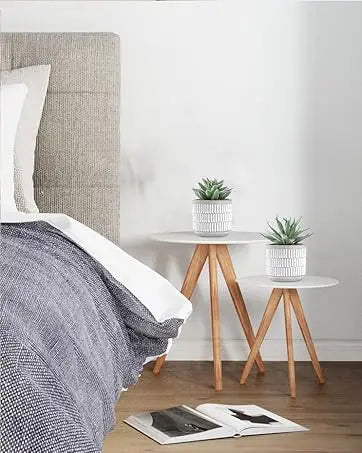 Fake Succulent Plants (2-Pack)