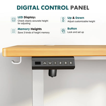 Ascend Electric Standing Desk