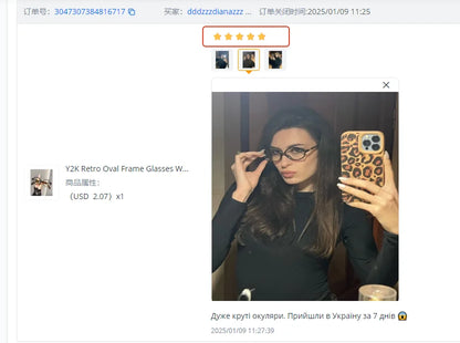Y2K Oval Frame Sunglasses
