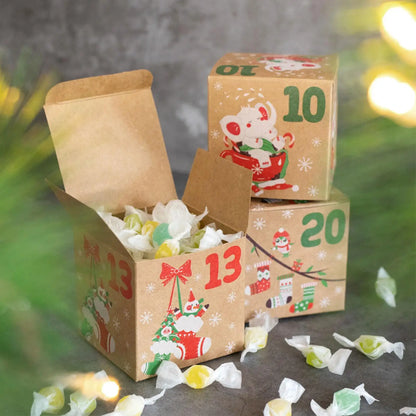 DIY Advent Calendar Boxes | 24 Numbered Kraft Gift Boxes