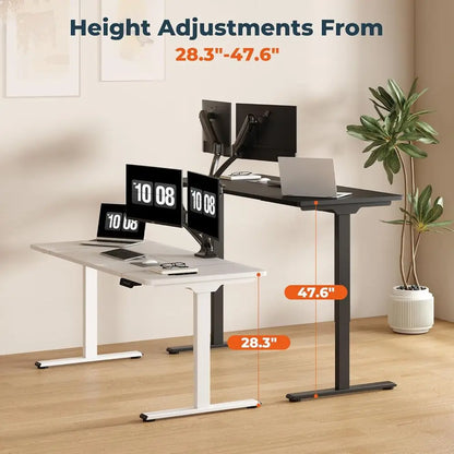 Dual Motor Standing Desk