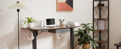 Apex Electric Standing Desk