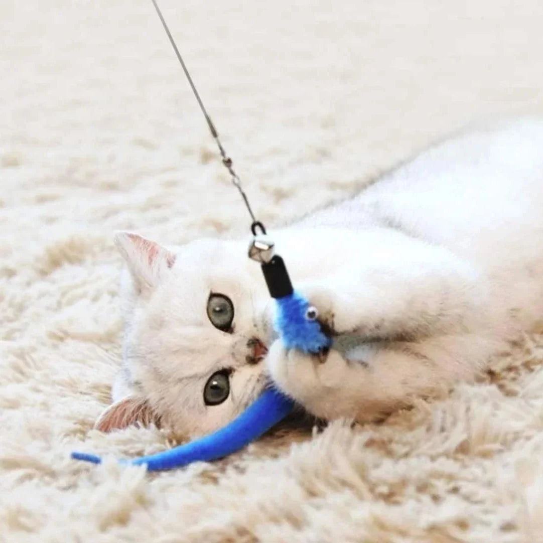 11pc Cat Feather Toy Set, Retractable Wand