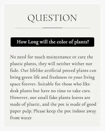 Fake Succulent Plants (2-Pack)
