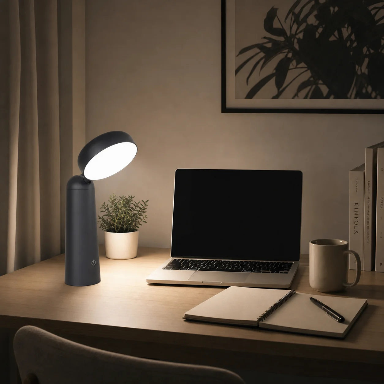 Round Head Touch Desk Lamp