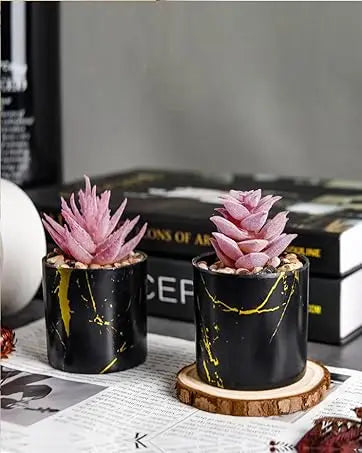 Fake Succulent Plants (2-Pack)