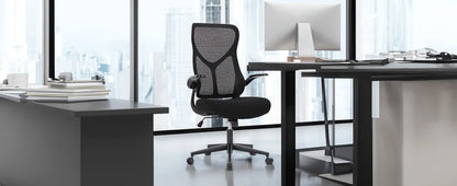 Lumbar-Pro Mesh Desk Chair