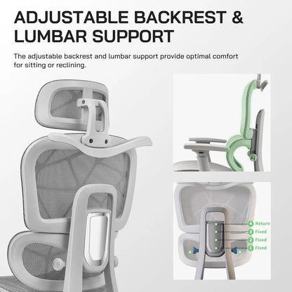 Dynamic Mesh Ergonomic Executive Chair