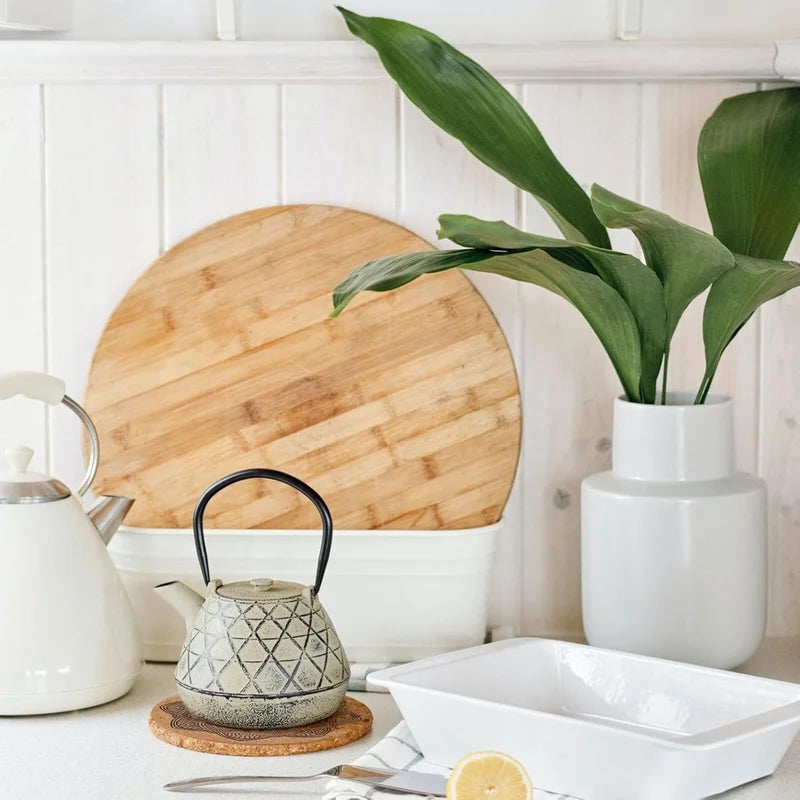 Absorbent Cork Coaster Set