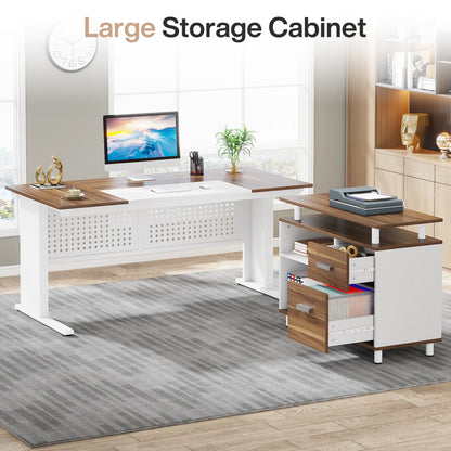Parkview L-Shaped Executive Desk with Storage Cabinet & File Drawer