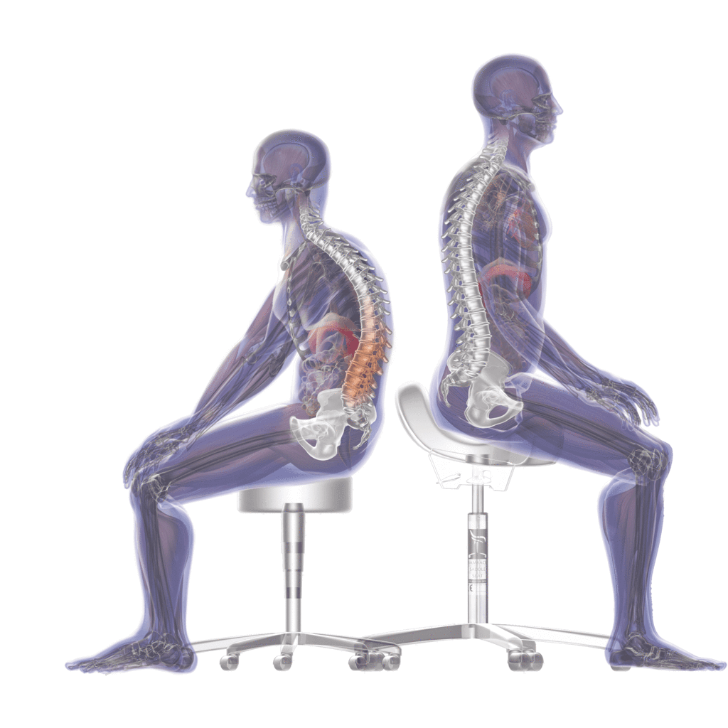 The Bambach – The Original Ergonomic Saddle Chair