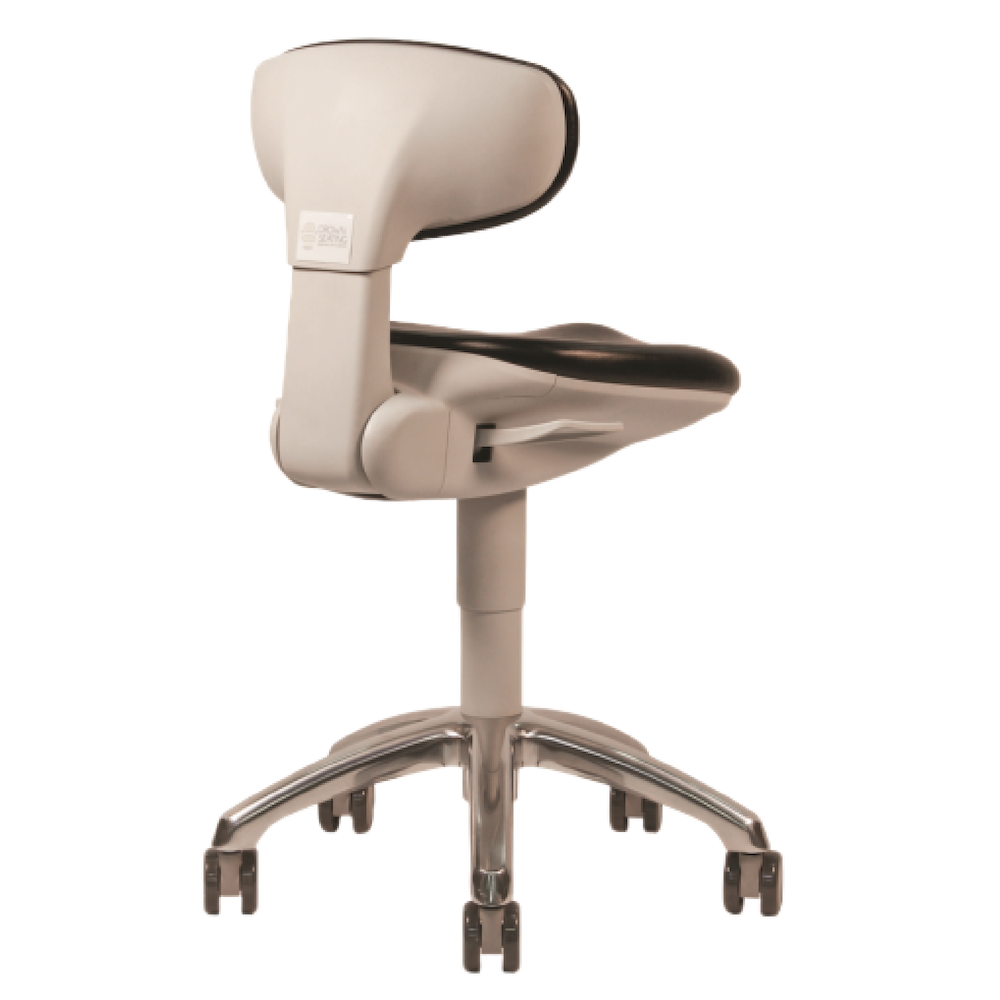 European Contour Ergonomic Chair with Lumbar Back