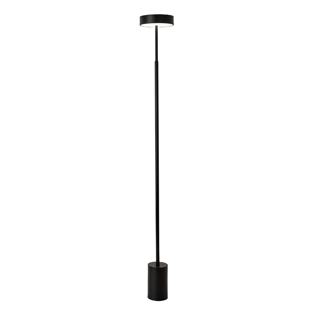 Contemporary black LED petite floor lamp featuring tall pole design ideal for ambient lighting in modern living spaces
