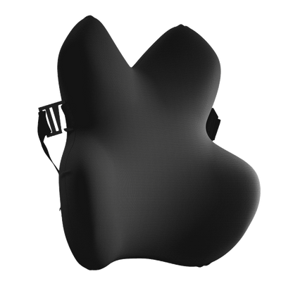 Lumbar Support Pillow