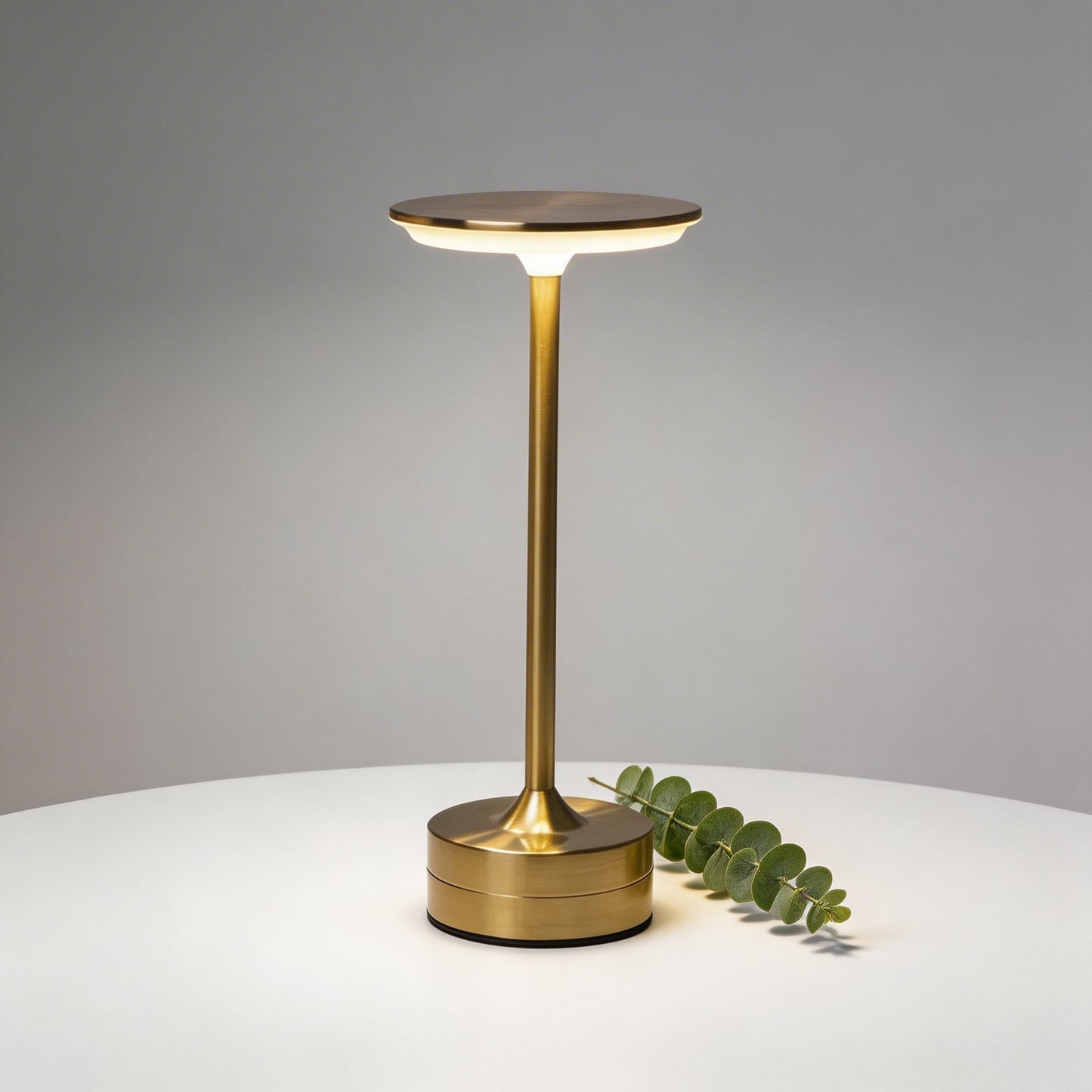 Modern Metal LED Cordless Table Lamp