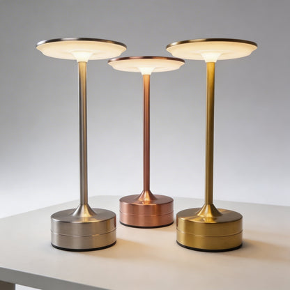 Modern Metal LED Cordless Table Lamp