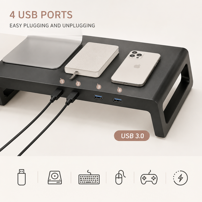 Aluminum Desk Riser with USB 3.0 Hub